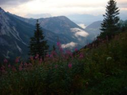 Regina-F-Rau_2013-08-13_Frohkostgipfel  (019).JPG